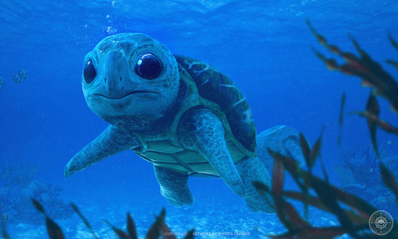 Real life Squirtle
