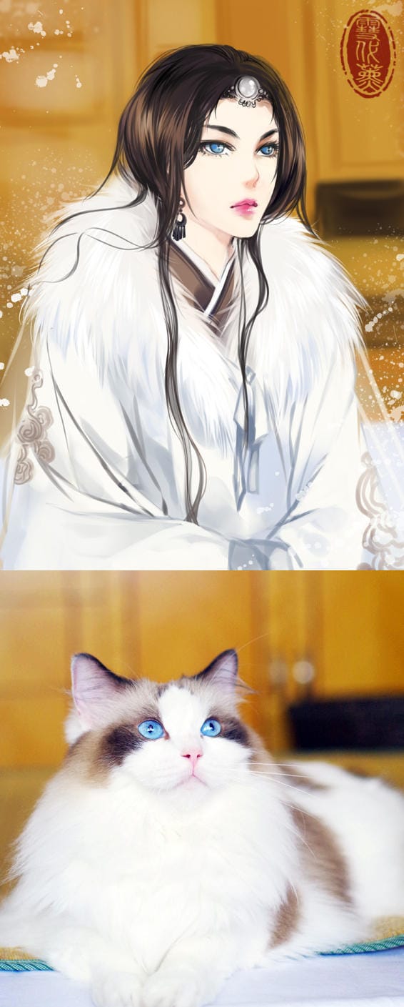 Chinese artist imagined what cats would look like if they were girls