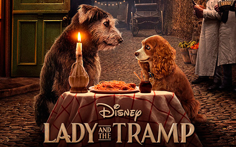 First poster for new Lady and The Tramp Disney + movie