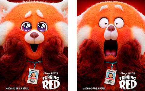 Emotional Panda from Turning Red movie on posters that can become your profile pictures