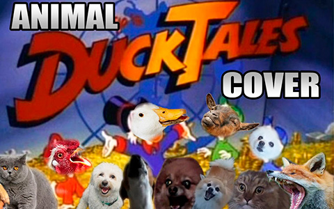 Animals sing DuckTales theme song's cover