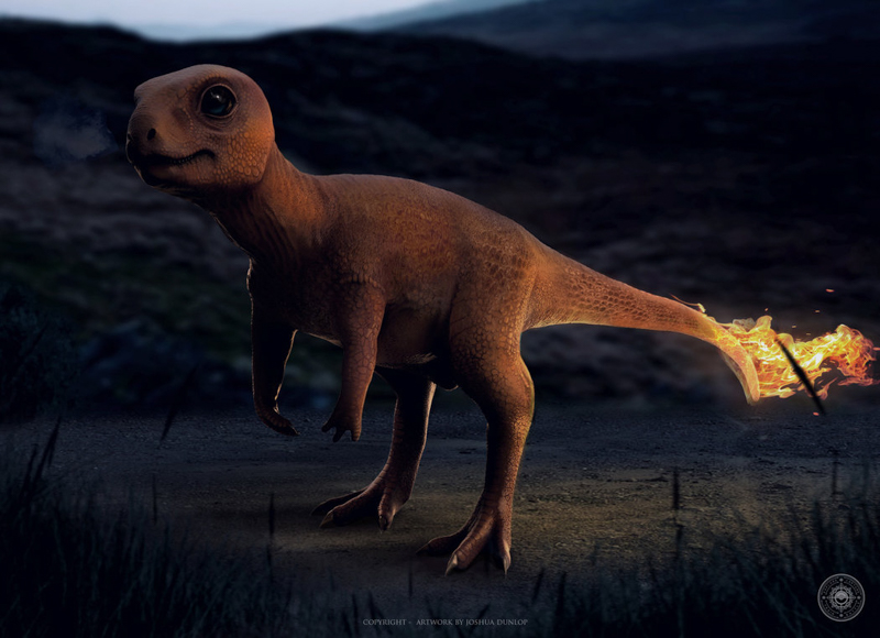 Real life Charmander Real life Charmander