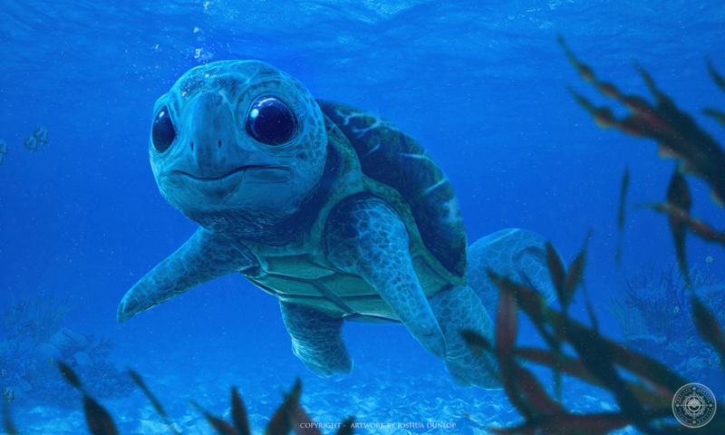 Real life Squirtle Real life Squirtle