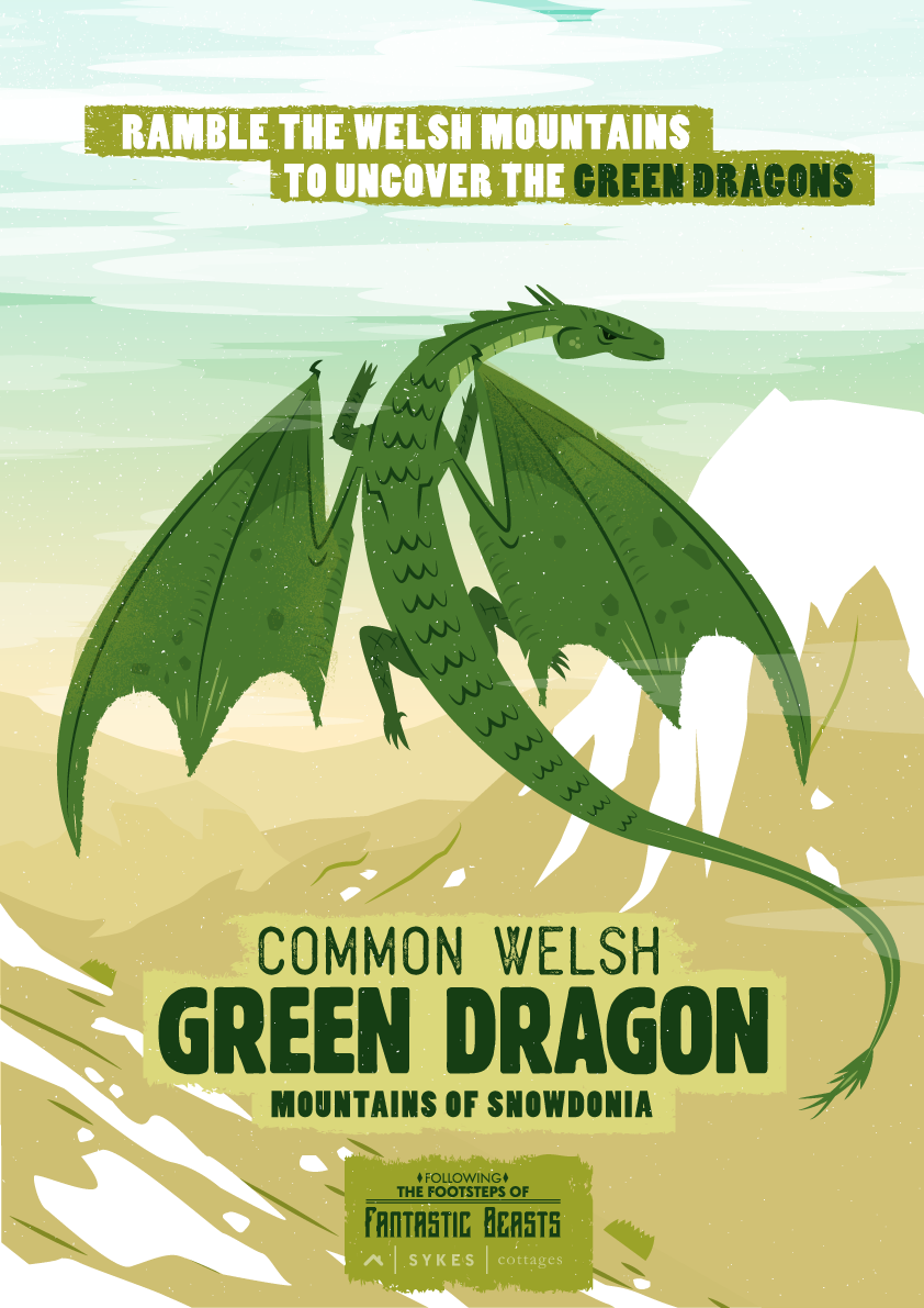 Common Welsh Green Dragon poster