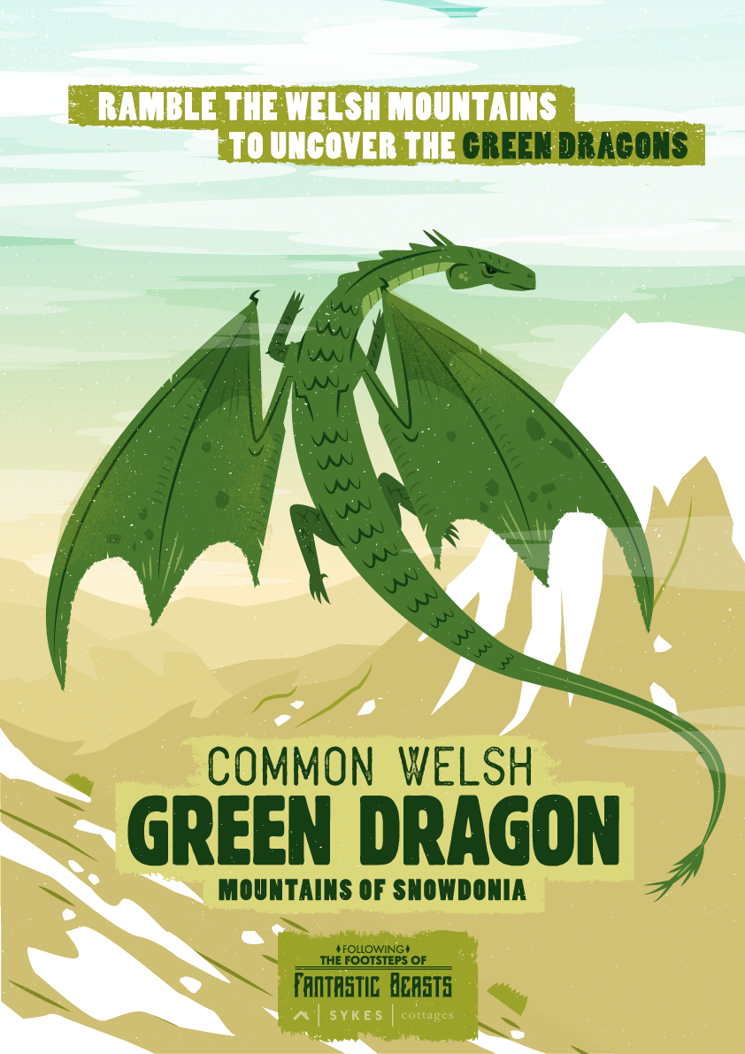 Common Welsh Green Dragon poster Common Welsh Green Dragon poster
