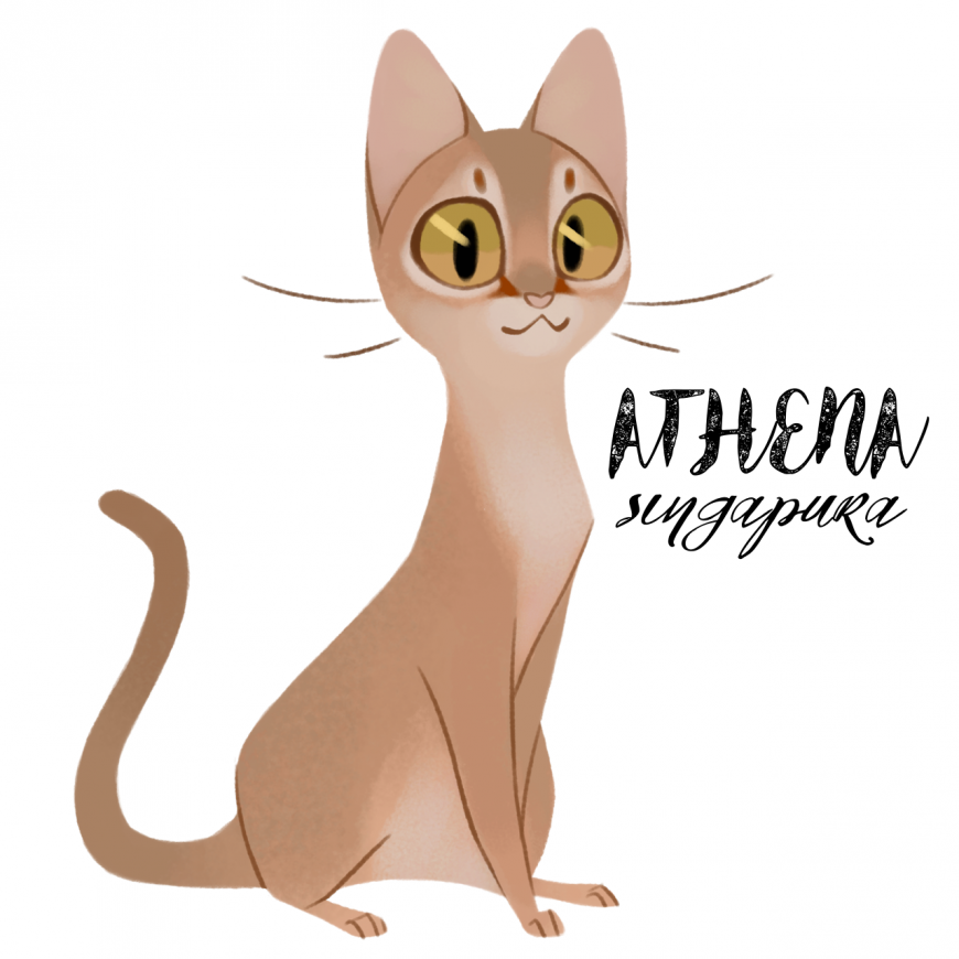 Athena as cat