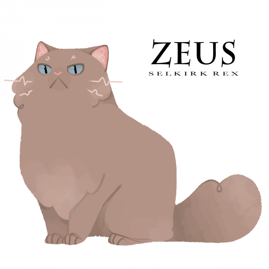Zeus as cat