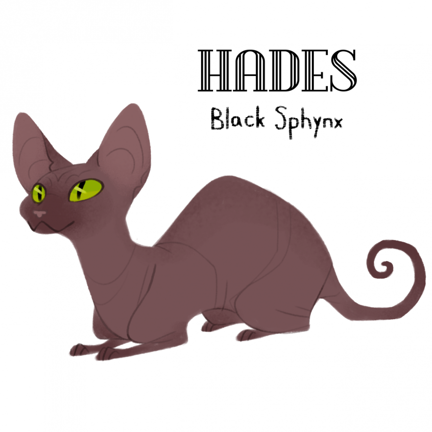 Hades as cat