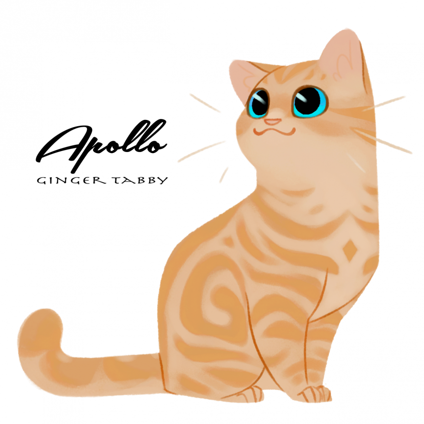 Apollo as cat
