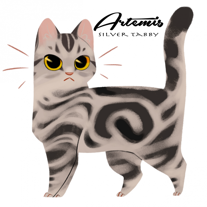Artemis as cat
