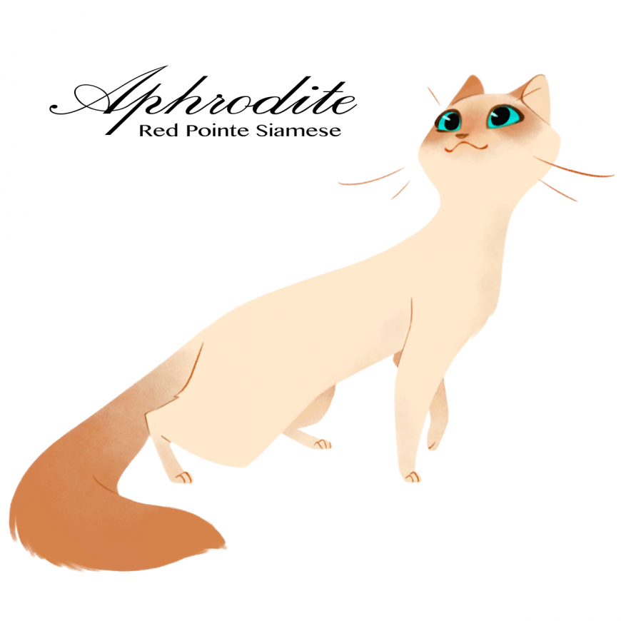 Aphrodite as cat