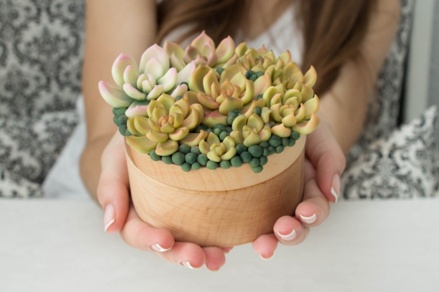 Succulents and Cacti in Jewelry, Hair Accessories and Decor