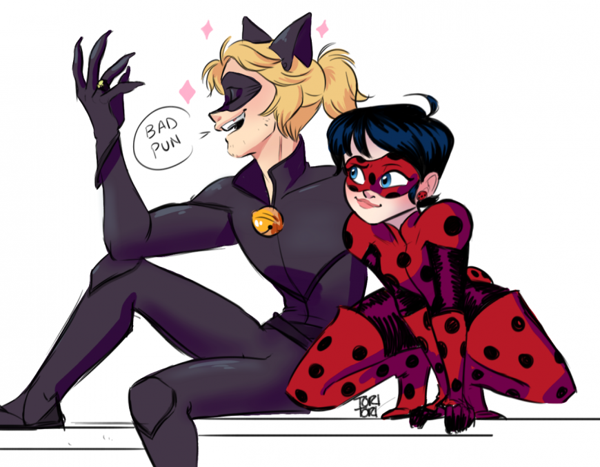 Adult Ladybug and Cat Noir