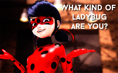 Quiz: What kind of Miraculous Ladybug are you?