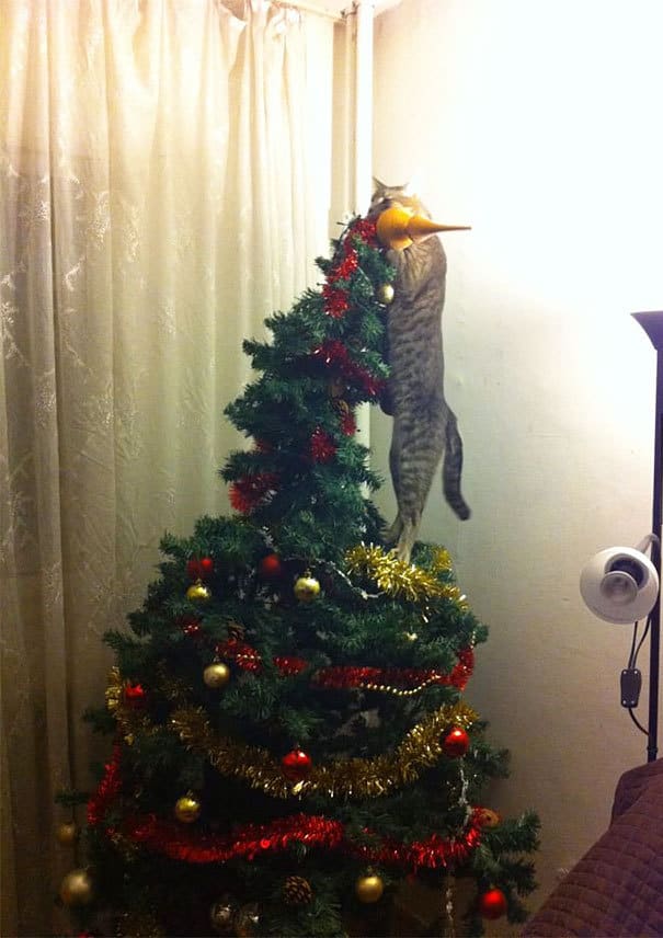 Cats againts the christmas tree