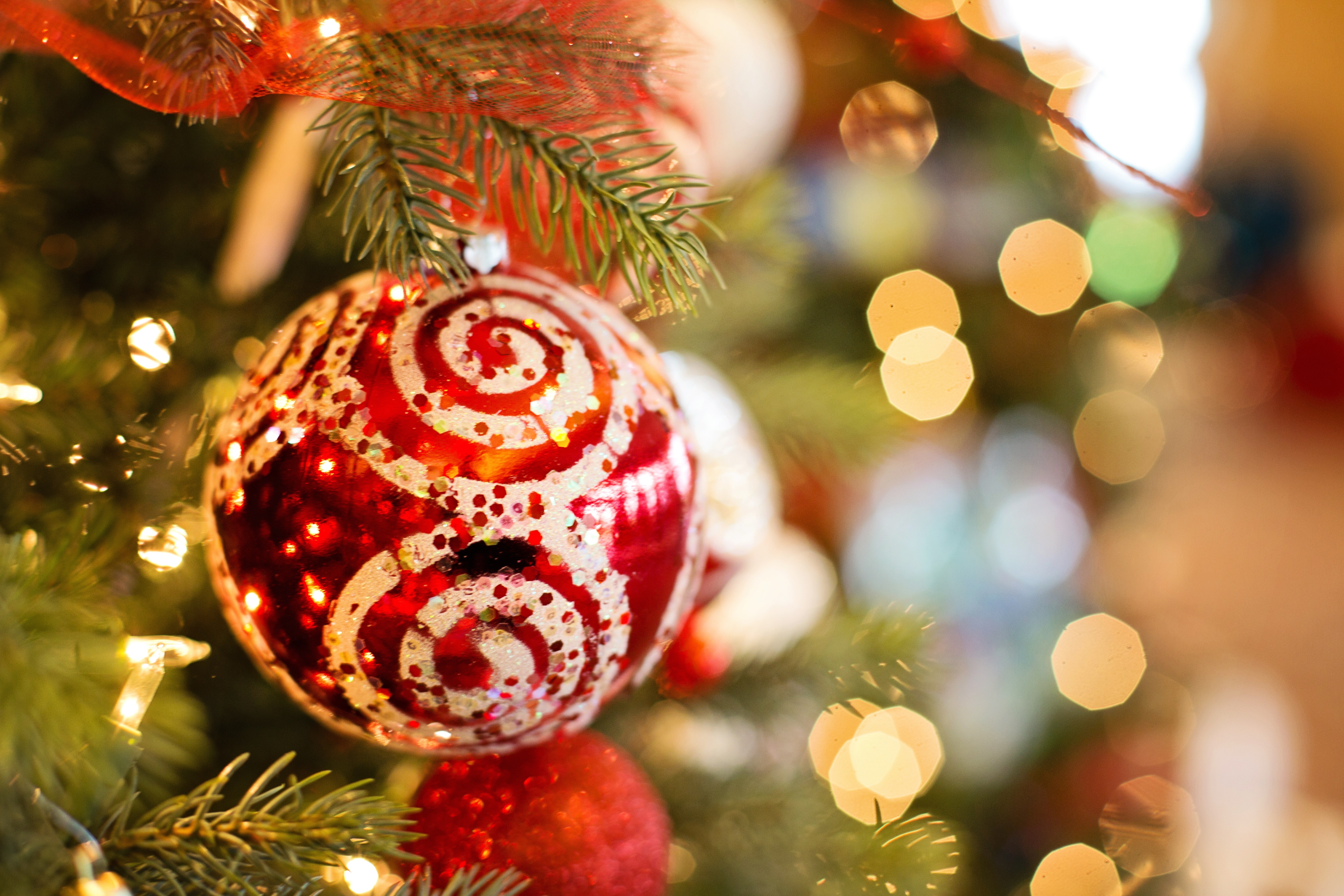 Beautiful shop christmas photos