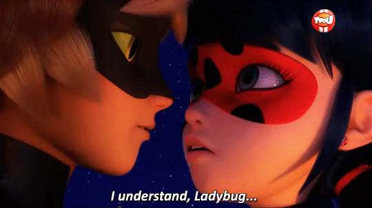 Miraculous Ladybug Cat Noir kisses Ladybug