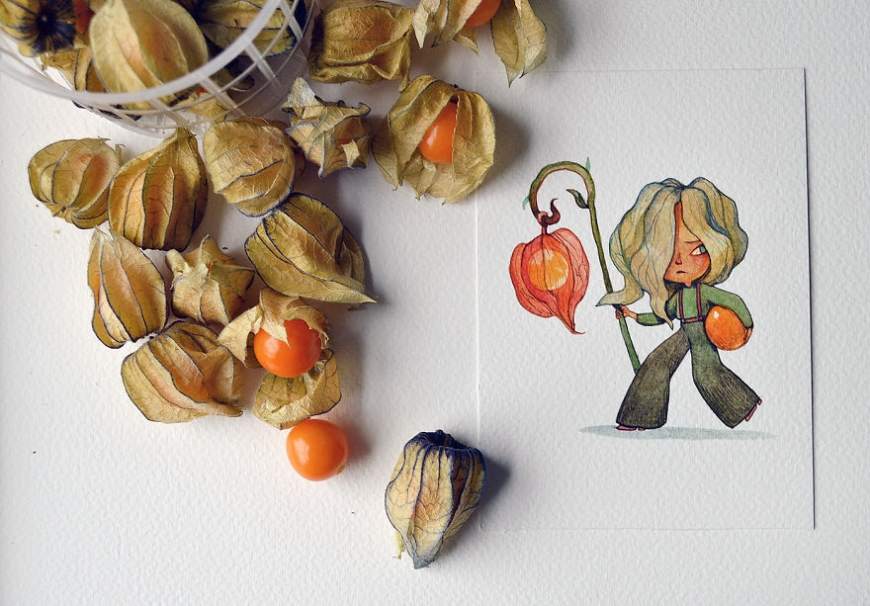 The sly physalis