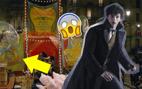All the interesting things that we saw in the trailer of Fantastic Beasts 2: The Crimes of Grindelwald