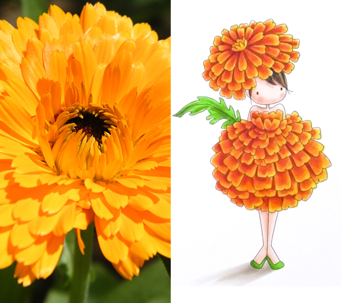 Flower humanization - flower girls - Marigold