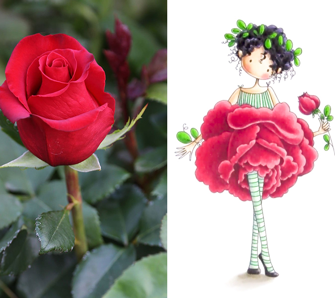 Flower humanization - flower girls - rose