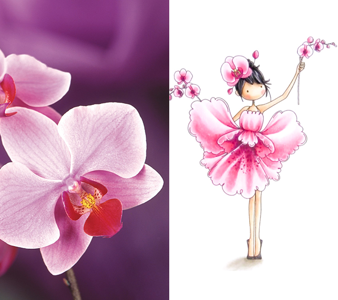 Flower humanization - flower girls - Orchid