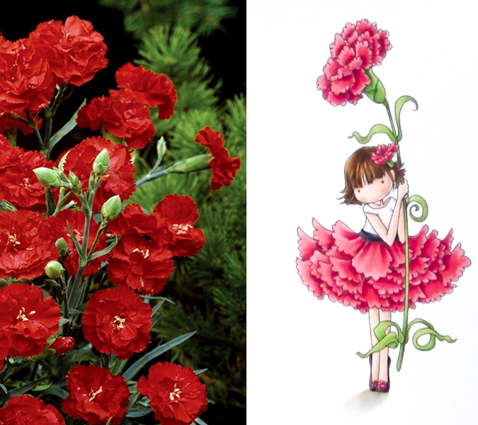 Flower humanization - flower girls - Carnation