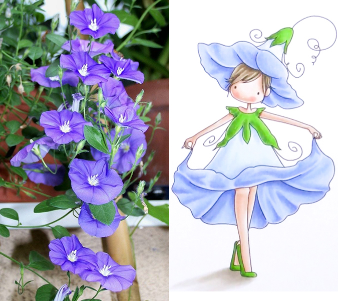 Flower humanization - flower girls - Morning-glory