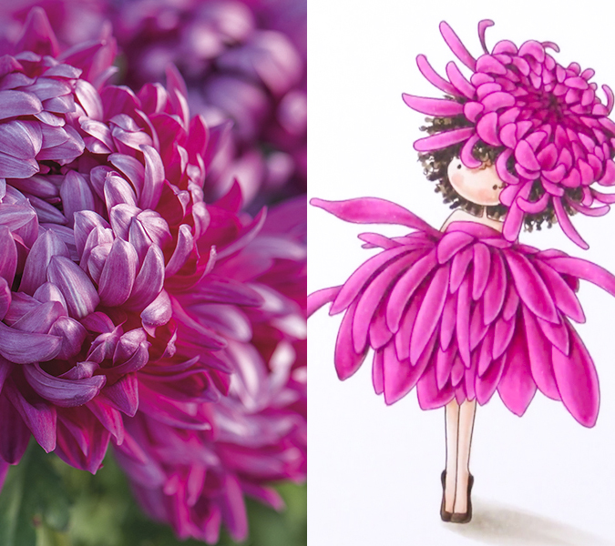 Flower humanization - flower girls - Chrysanthemum