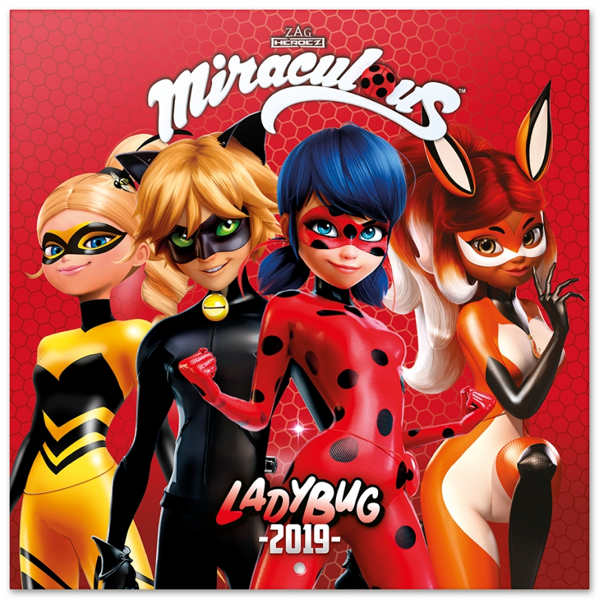 Miraculous Ladybug fan present ideas