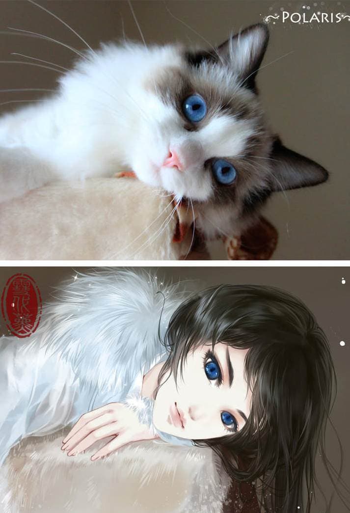 Cats transformed into human in beautiful art