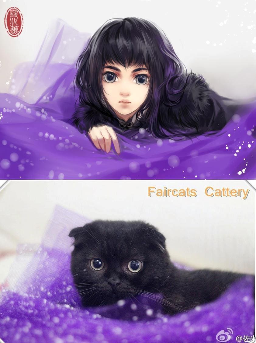 Cats transformed into human in beautiful art