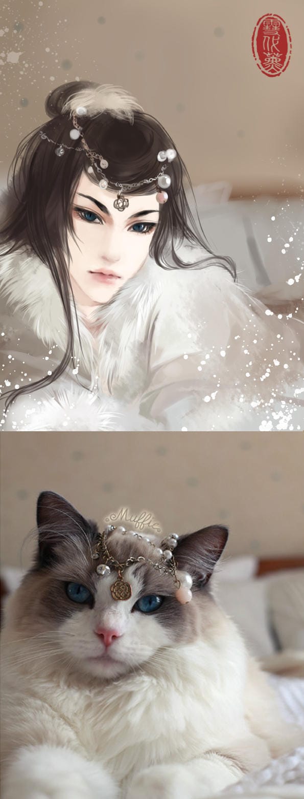 Cats transformed into human in beautiful art