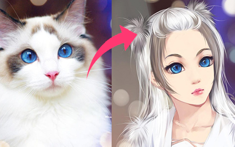 Chinese artist imagined what cats would look like if they were girls and boys from Anime