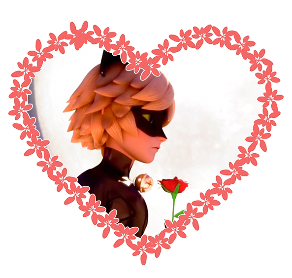 Miraculous Ladybug Valentines