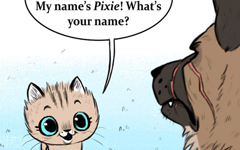 Pixie and Brutus: Cutest comics in the web about small kitten and big dog