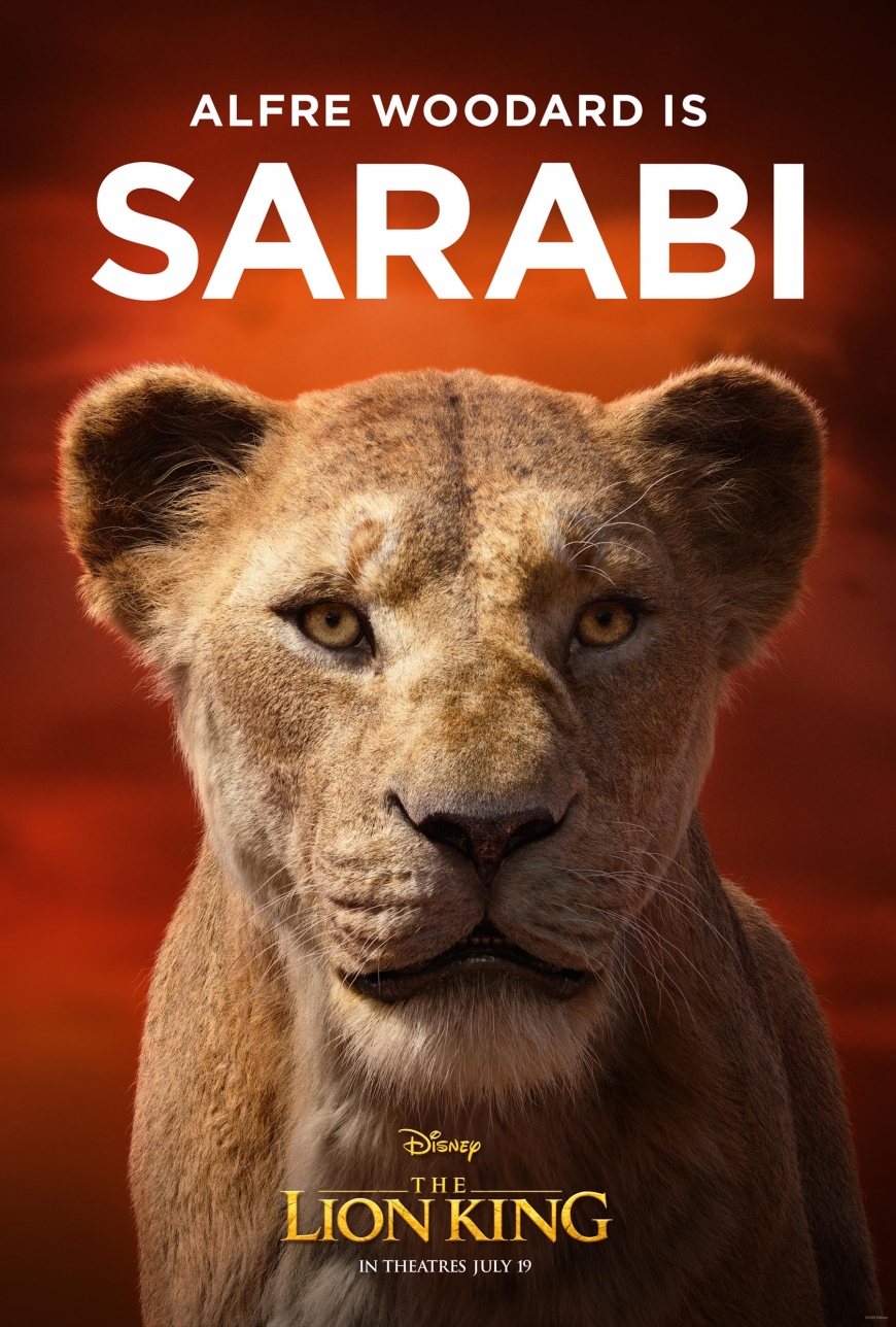 The Lion king film character posters big pictures