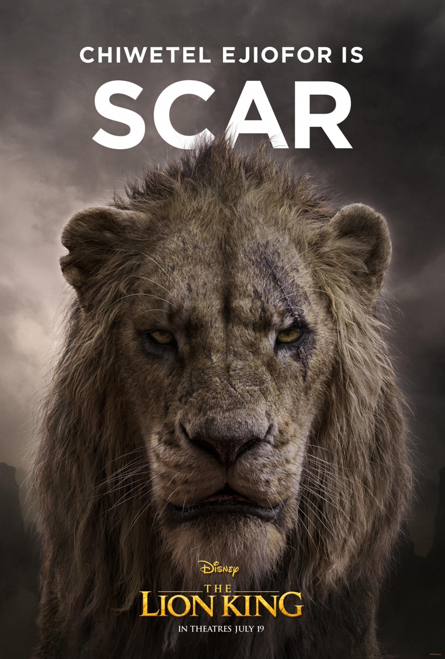 The Lion king film character posters big pictures