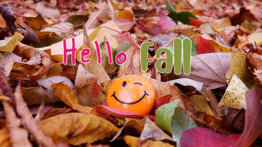 Hello Fall new 2019 images with cute pictures