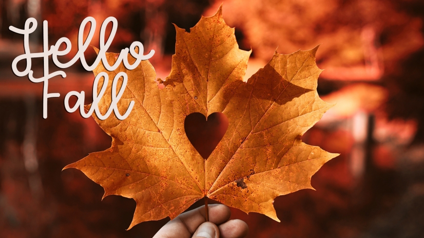 Hello Fall new 2019 images with cute pictures