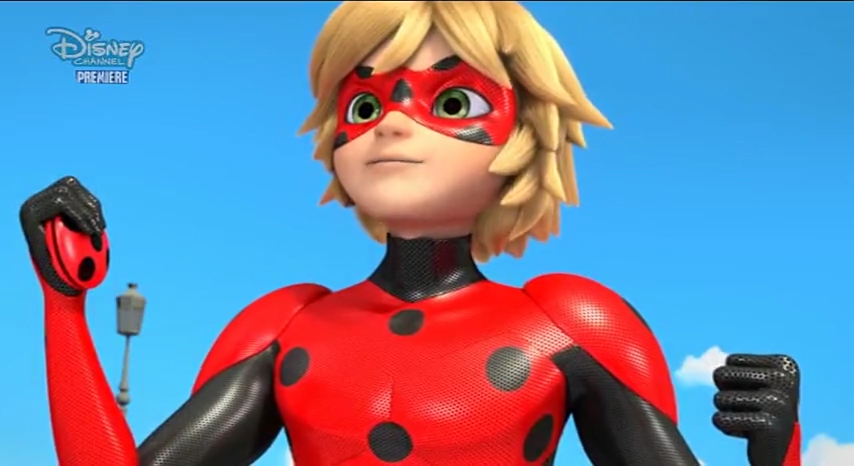 Miraculous Ladybug Reflekdoll Mister Bug image