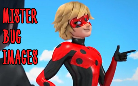 Adrien as Mister Bug images from Miraculous Ladybug Reflekdoll
