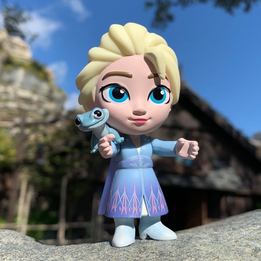 Frozen 2 Funko 5 Star Elsa and Anna