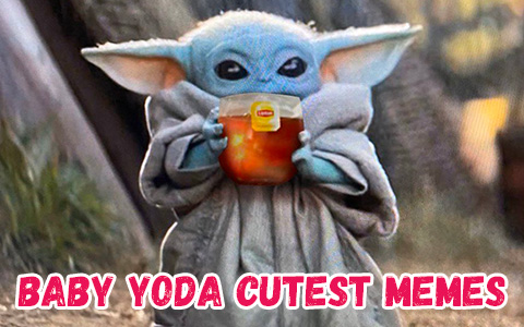 Best and Cutest 12 Memes of Baby Yoda from the Mandalorian