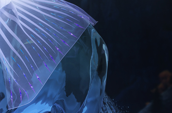 Frozen 2 Elsa fifth element snow queen dress details Frozen 2 Elsa fifth element snow queen dress details