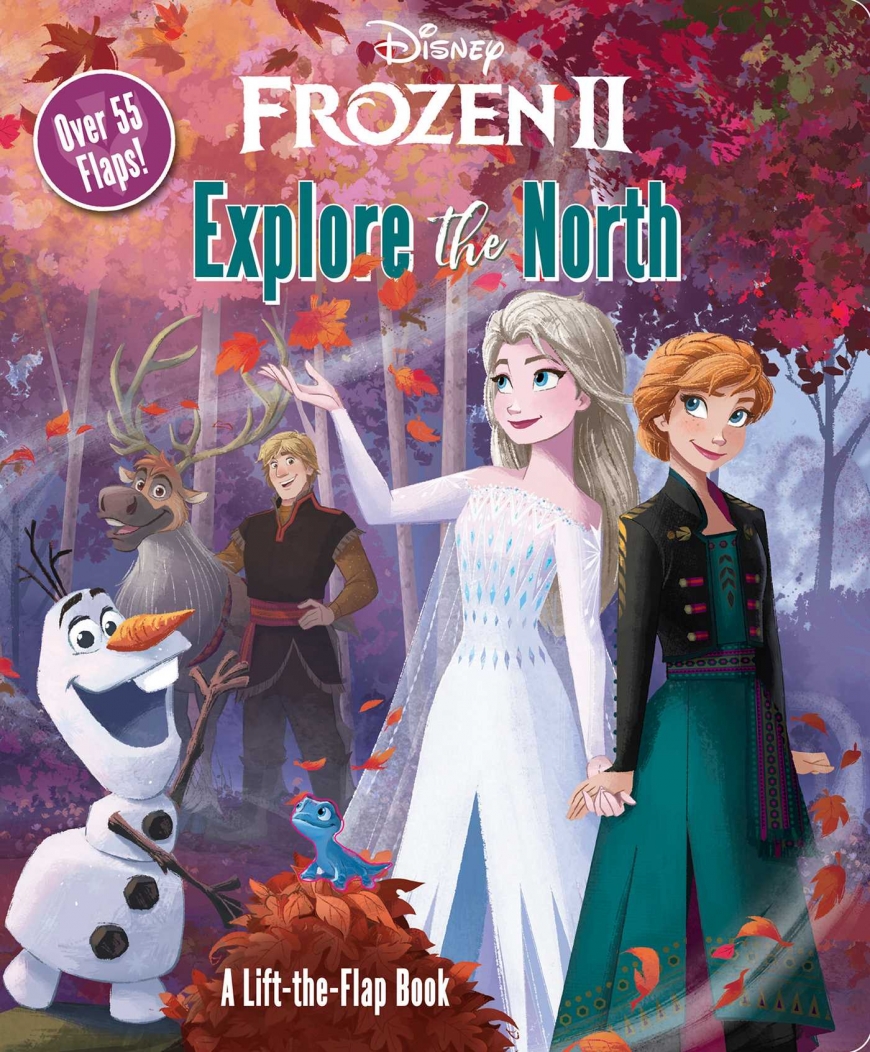 Frozen 2 explore the north