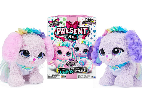 New Present Pets Puppies: Rainbow Fairy and Sparkle Princess