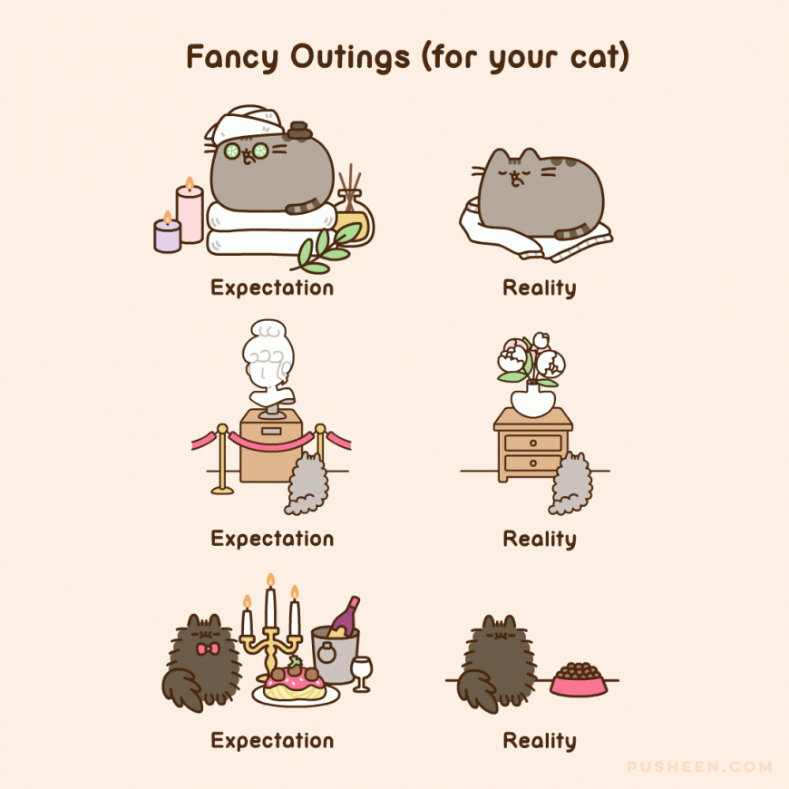 Pusheen cat cute gif animated comics