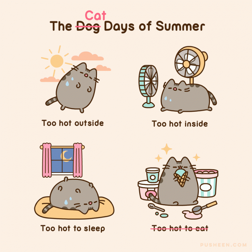 Pusheen cat cute gif animated comics