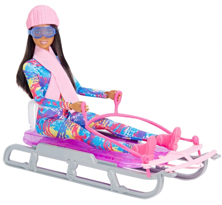 Barbie Sledding Winter Doll and Accessories